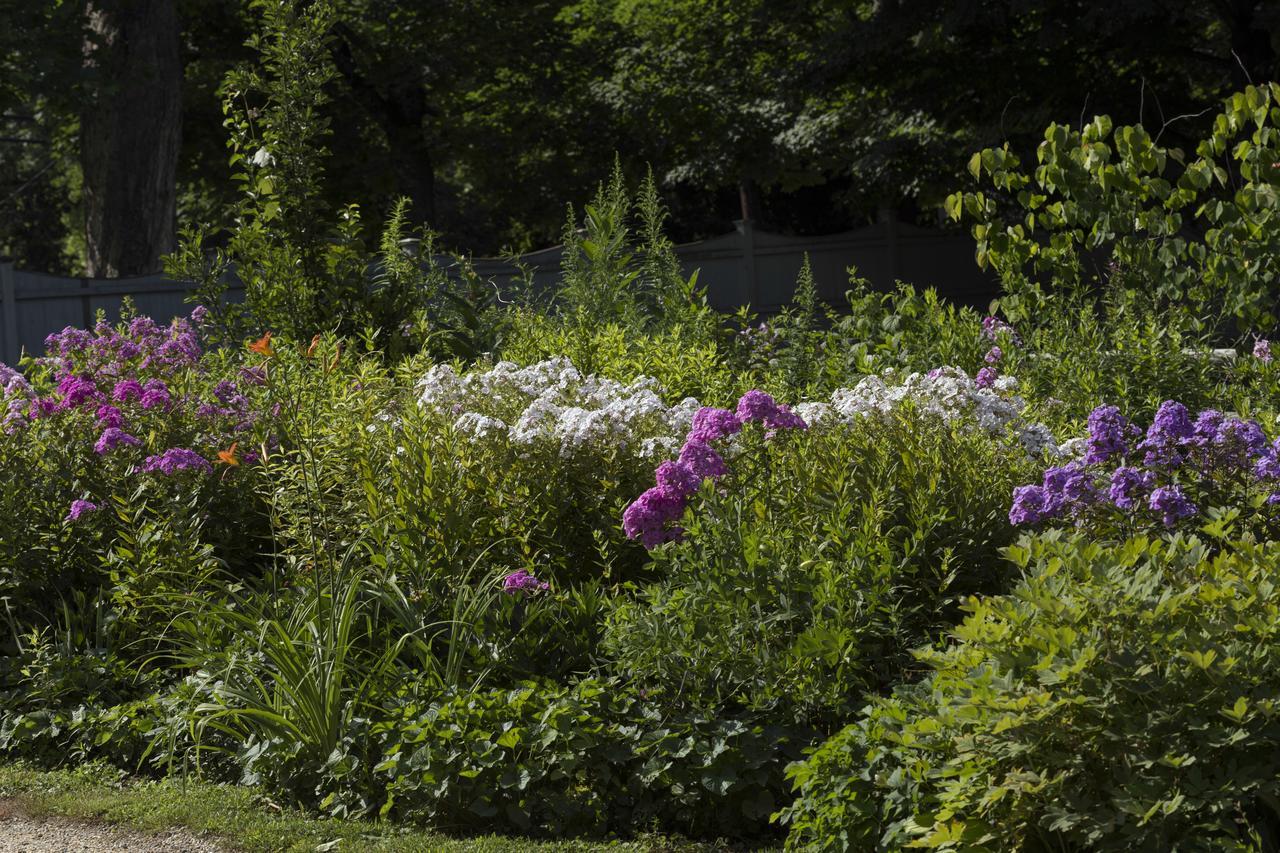 Staveleigh House Bed And Breakfast Sheffield Экстерьер фото